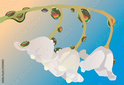 rainbow in drops illustration