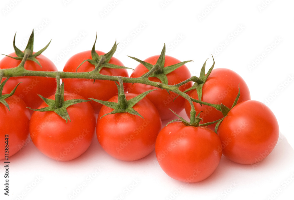 Closeup of branch of tomatoes isolated on white background Closeup of branch of tomatoes isolated on white background