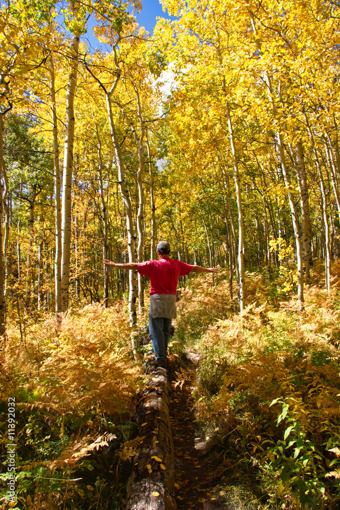 Fototapeta premium Balance in Nature