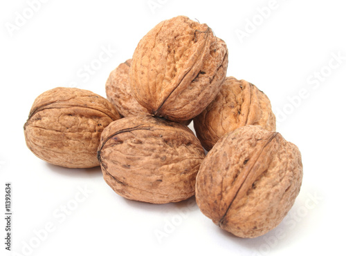 Walnut in closeup