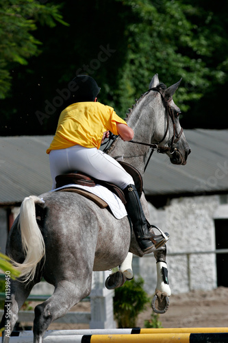 Equitation : saut d'obstacle