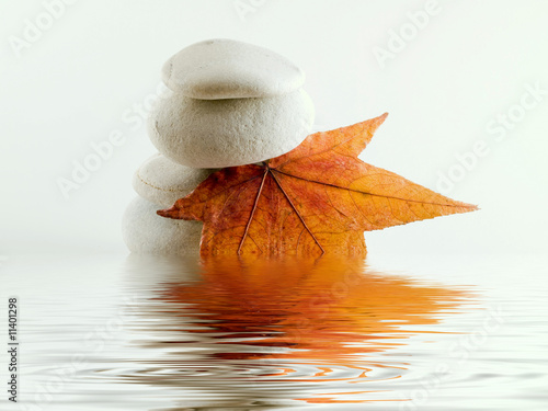 Beach stones with leaf and water reflection