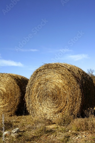 Yellow straw round bale in the fields, Spain
