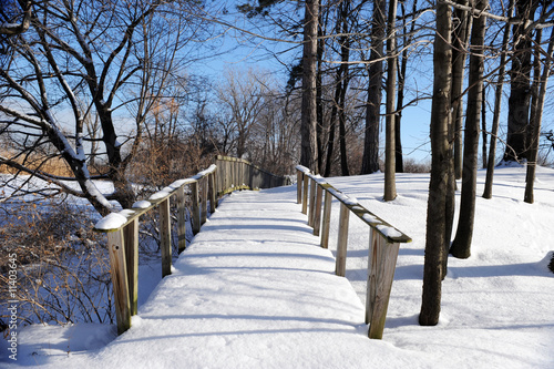 Snowy Path Untrod © Glenda Powers