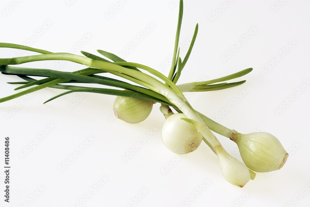 early white onions with green leaves