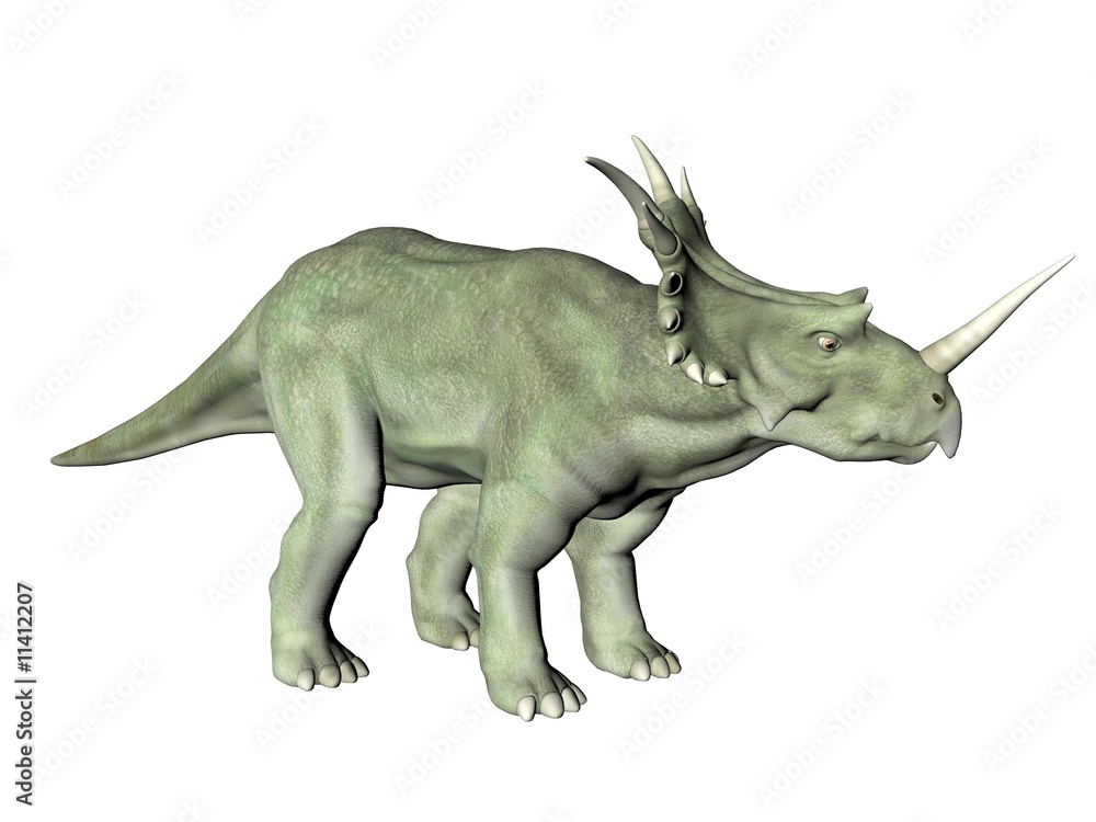 Fototapeta premium Styracosaurus