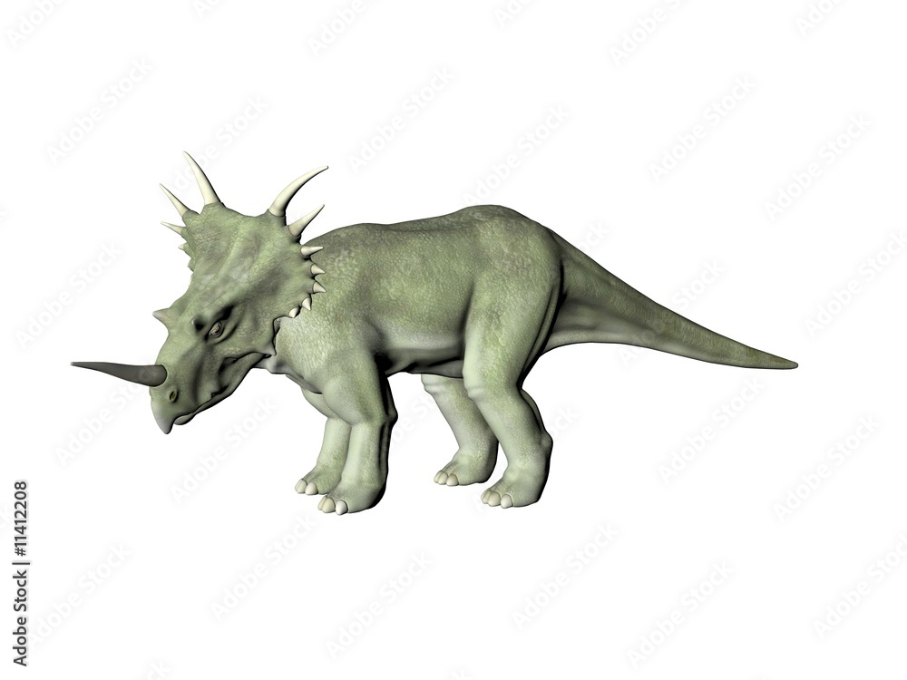 Fototapeta premium Styracosaurus