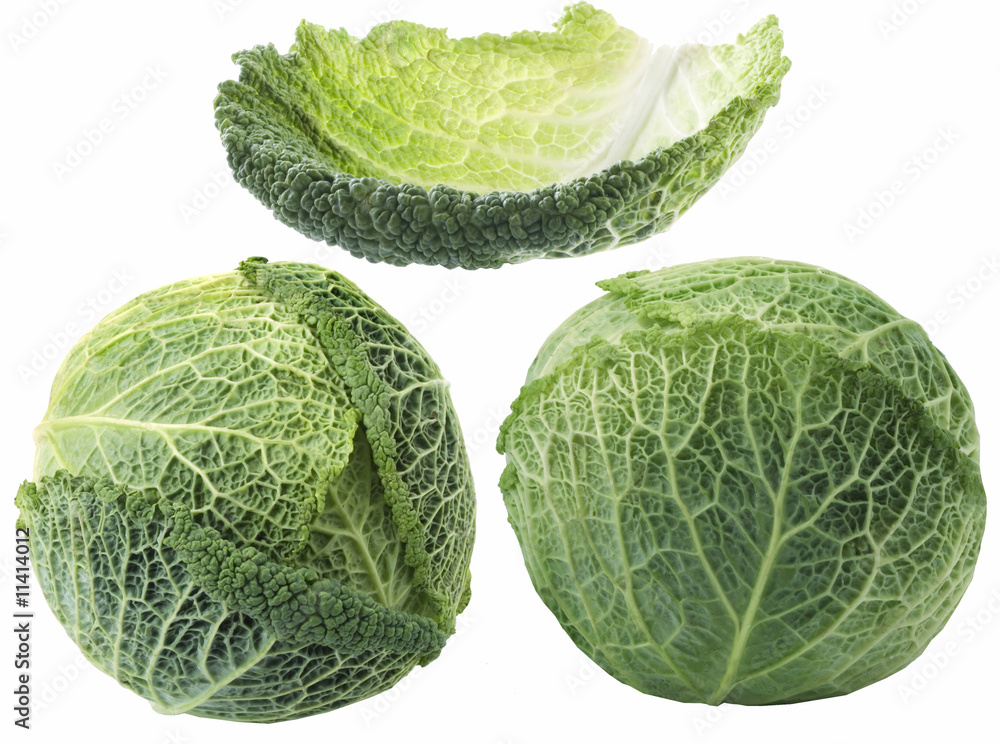 Fototapeta premium Savoy cabbage isolated on white background