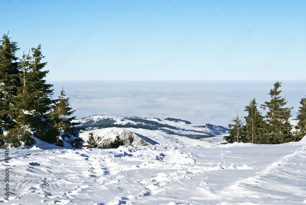 Obraz premium mountains under snow in the winter