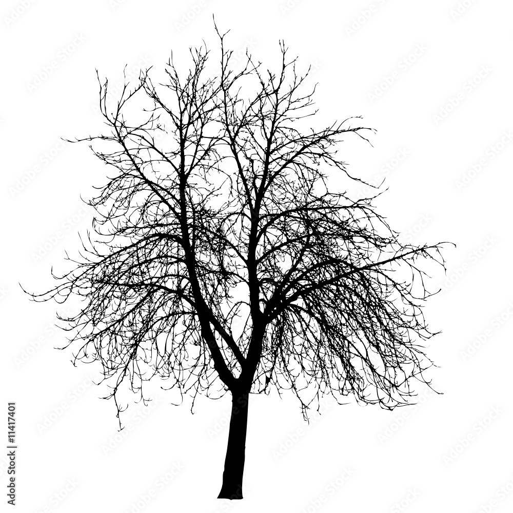Obraz premium tree silhouettes vector