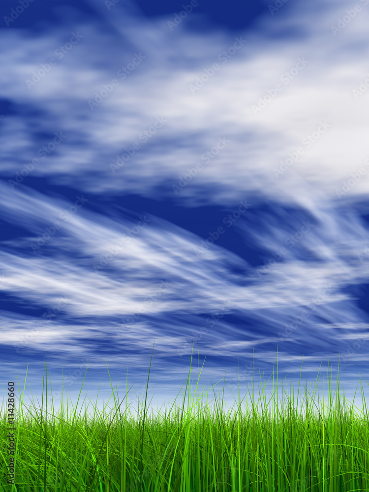 3d grass with perfect details and blue sky and clouds 3d grass with perfect details and blue sky and clouds