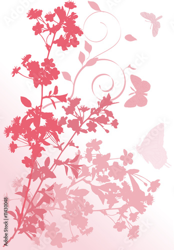 pink butterflies and cherry tree flowers