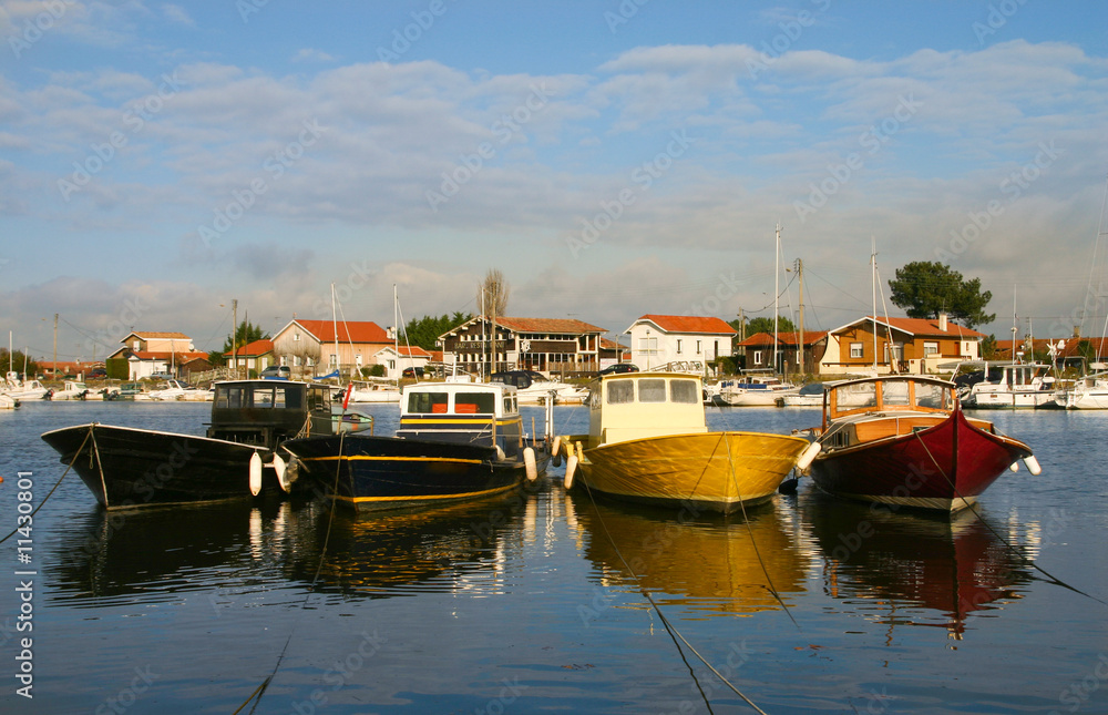 Fototapeta premium pinasses amarrées au port de La Teste