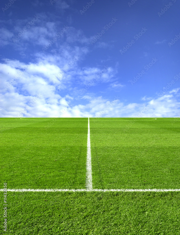 Fototapeta premium football pitch