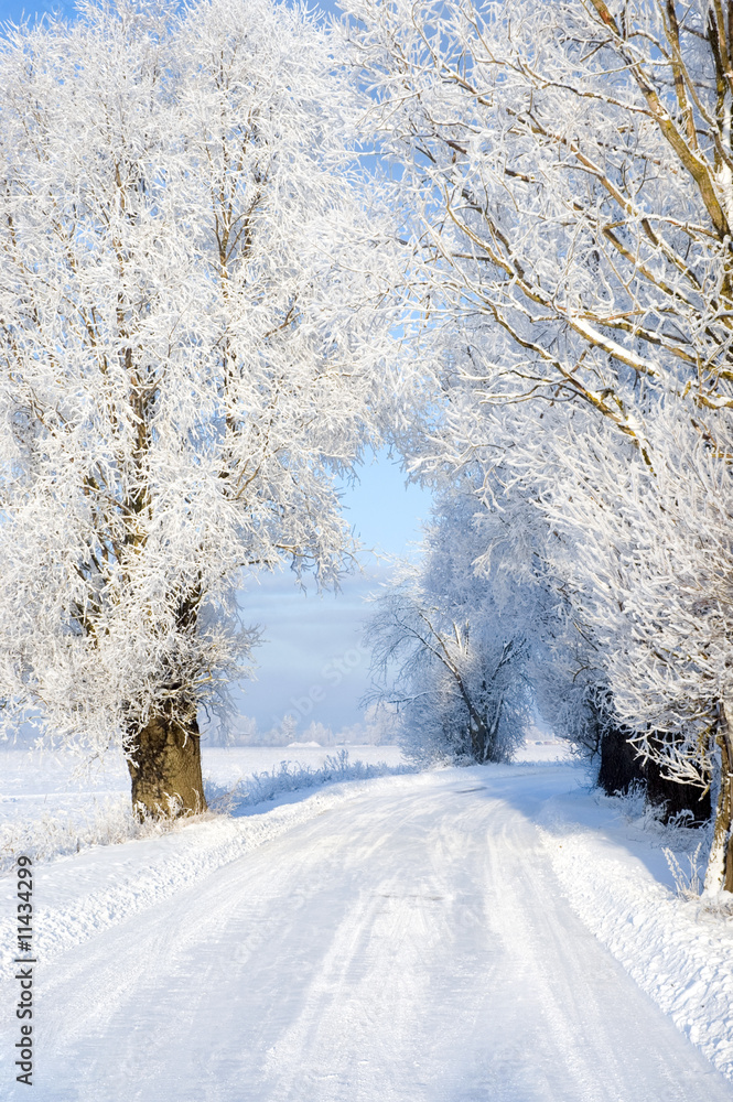 Obraz premium Snowy road