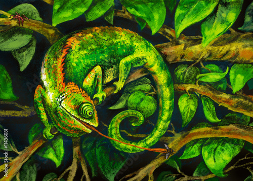green chameleon