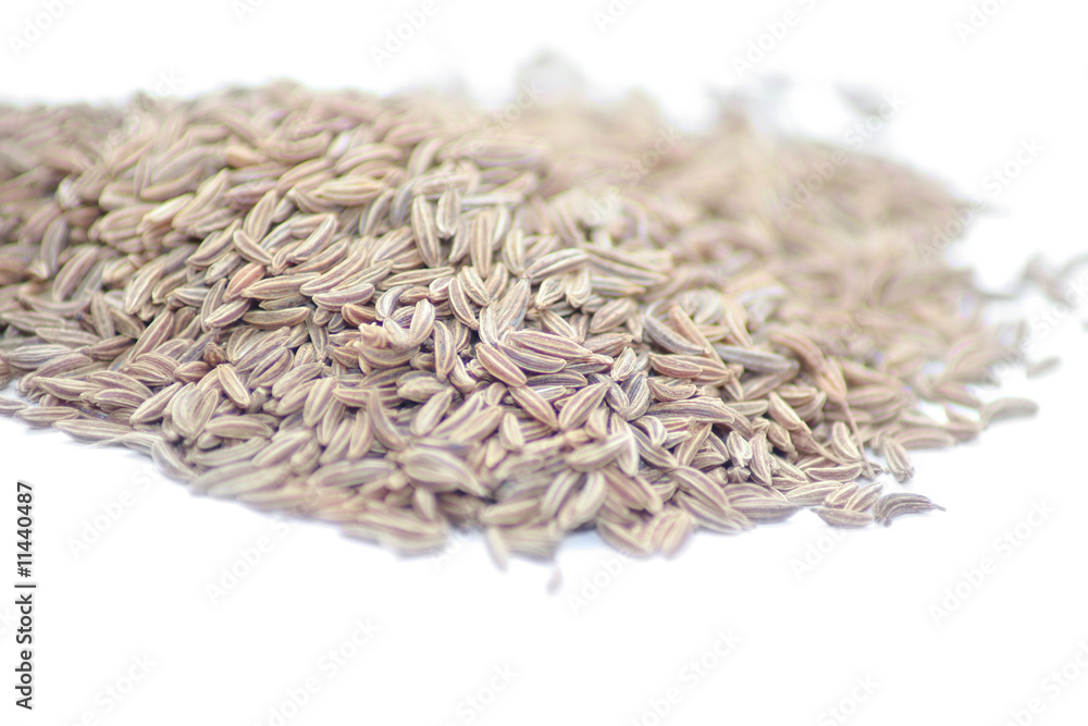 caraway seed caraway seed