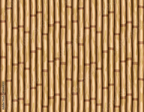 Fototapeta Naklejka Na Ścianę i Meble -  bamboo wall