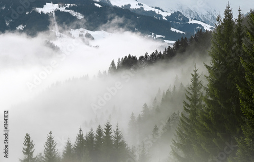 Nebel © refresh(PIX)