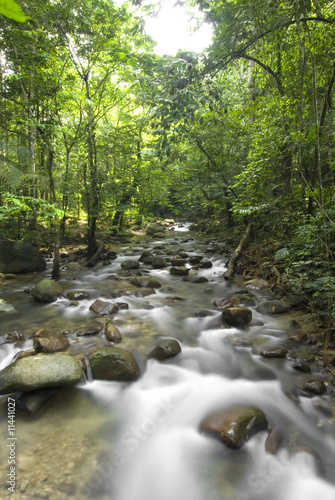 green waterfall