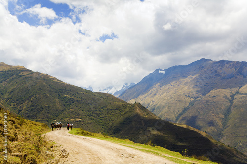 On the road in Andes © Alexey Stiop