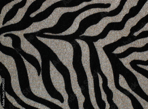 zebra textrue