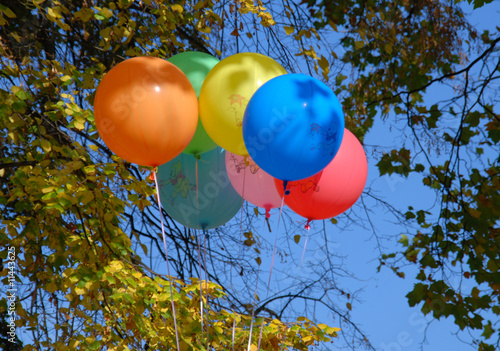Balloons on the background of autumn leaves.