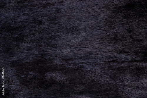 Mink for use as a background texture.