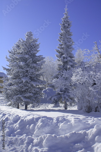 Winter in St. Moritz