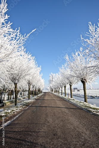 Countryroad in wintertime in the Netherlands photo