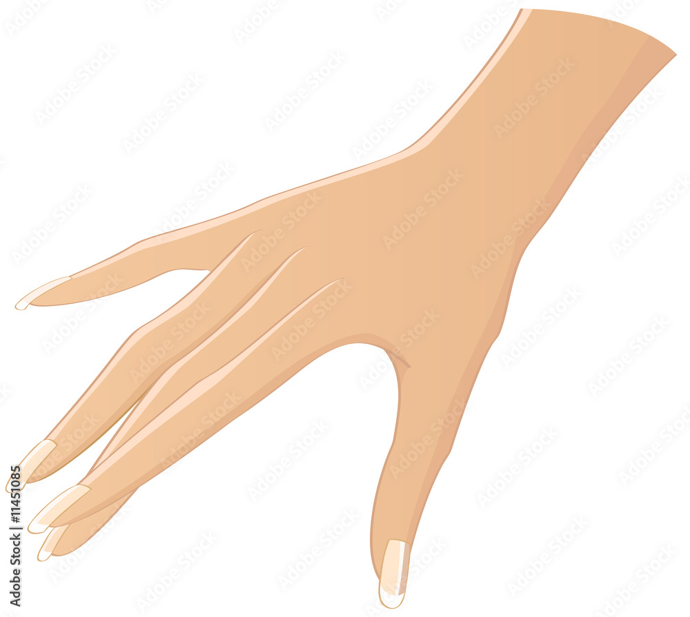 Illustrierte hand Illustrierte hand