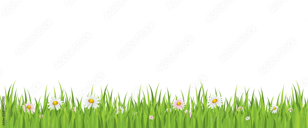 Naklejka Wiosna kwiaty i trawa bezszwowa ilustracja