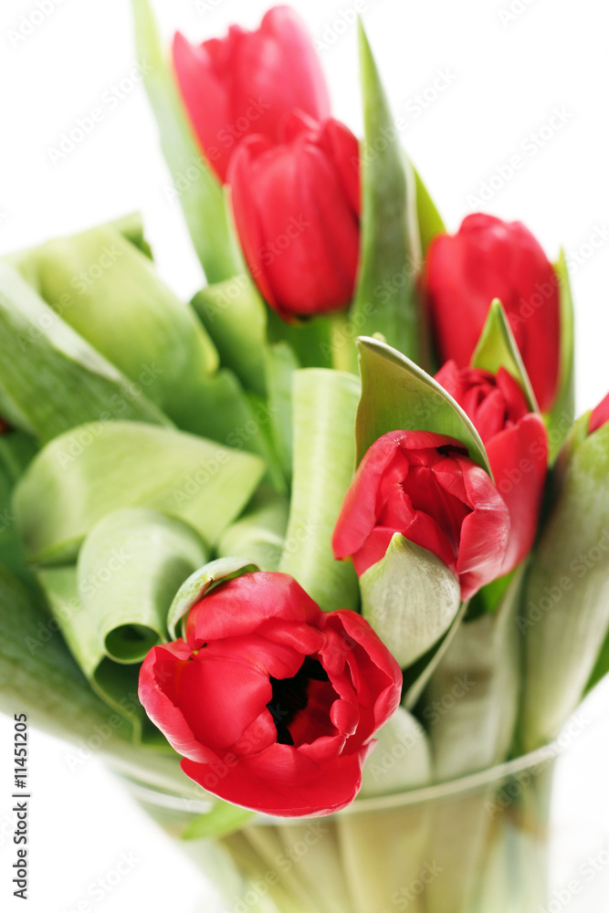 Frische Blumen Frische Blumen