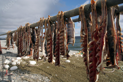 Foto Drying fish