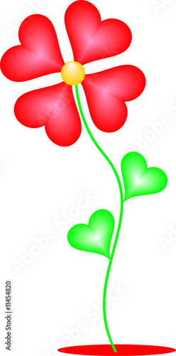 Fiore Cuore