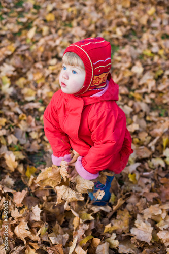 golden  autumn