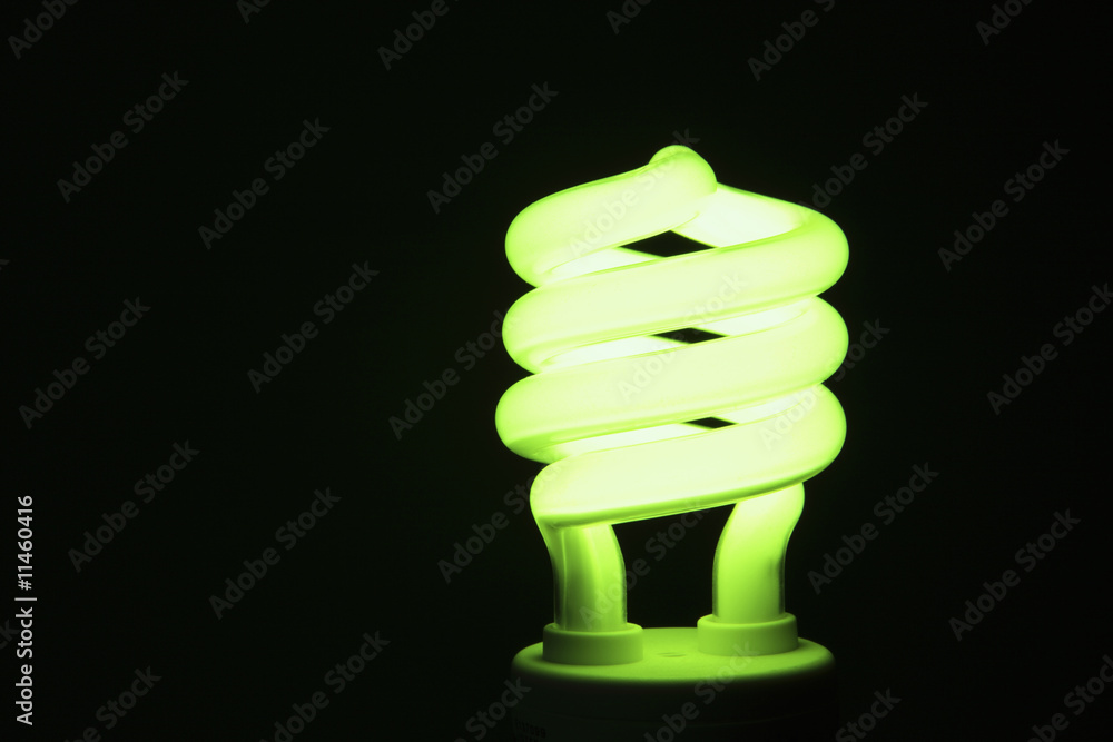 Energy Saving Lightbulb Energy Saving Lightbulb