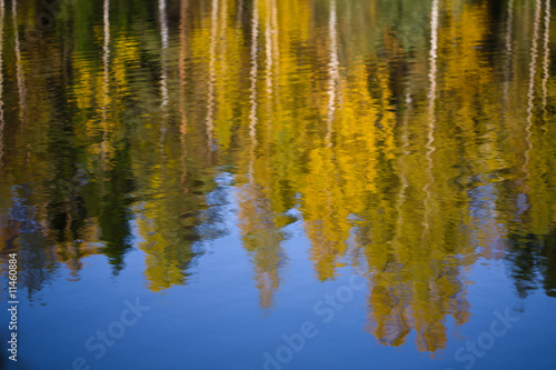 autumn landscape reflection in the water