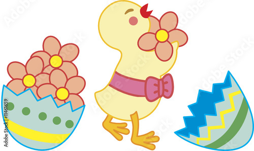 Chick collect flowers