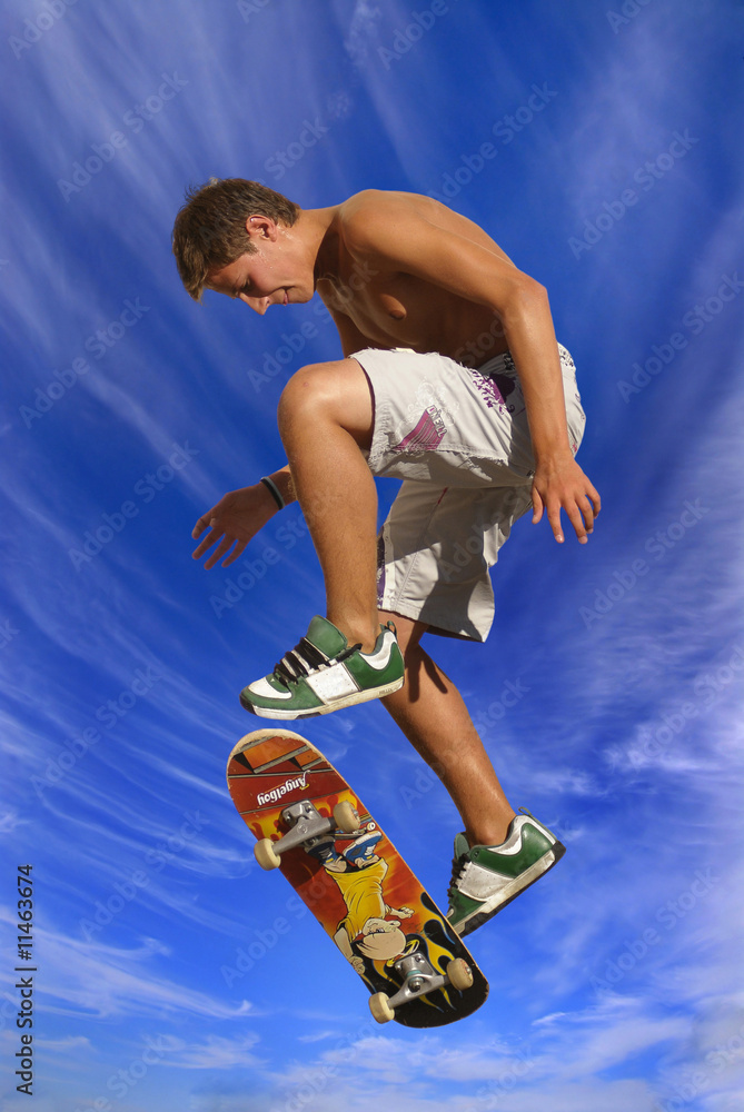Obraz premium The jumper
