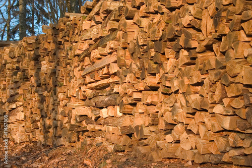 Bild auf Leinwand buche