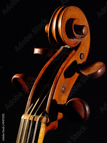 violoncello