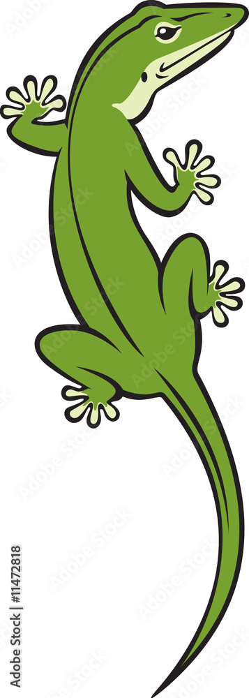 Fototapeta premium Green Lizard