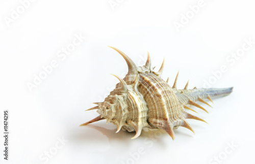 Photography shell