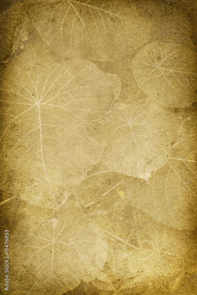Fototapeta premium Vintage Broad Leaf Imprint Background