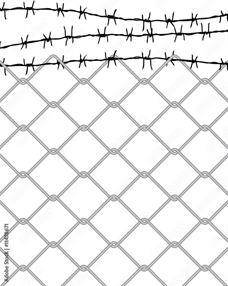 Fototapeta premium barbed wire