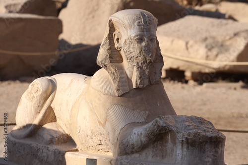 sphinx temple de karnak