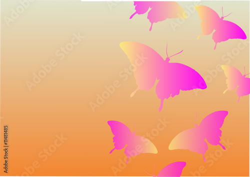 Schmetterling Illustration