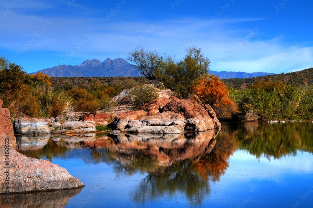 Obraz premium Desert Pond