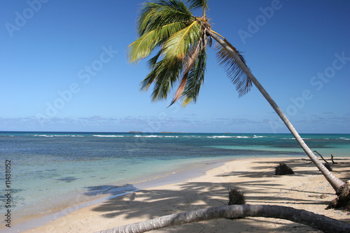 Bonita beach  Las Terrenas  Dominican Republic